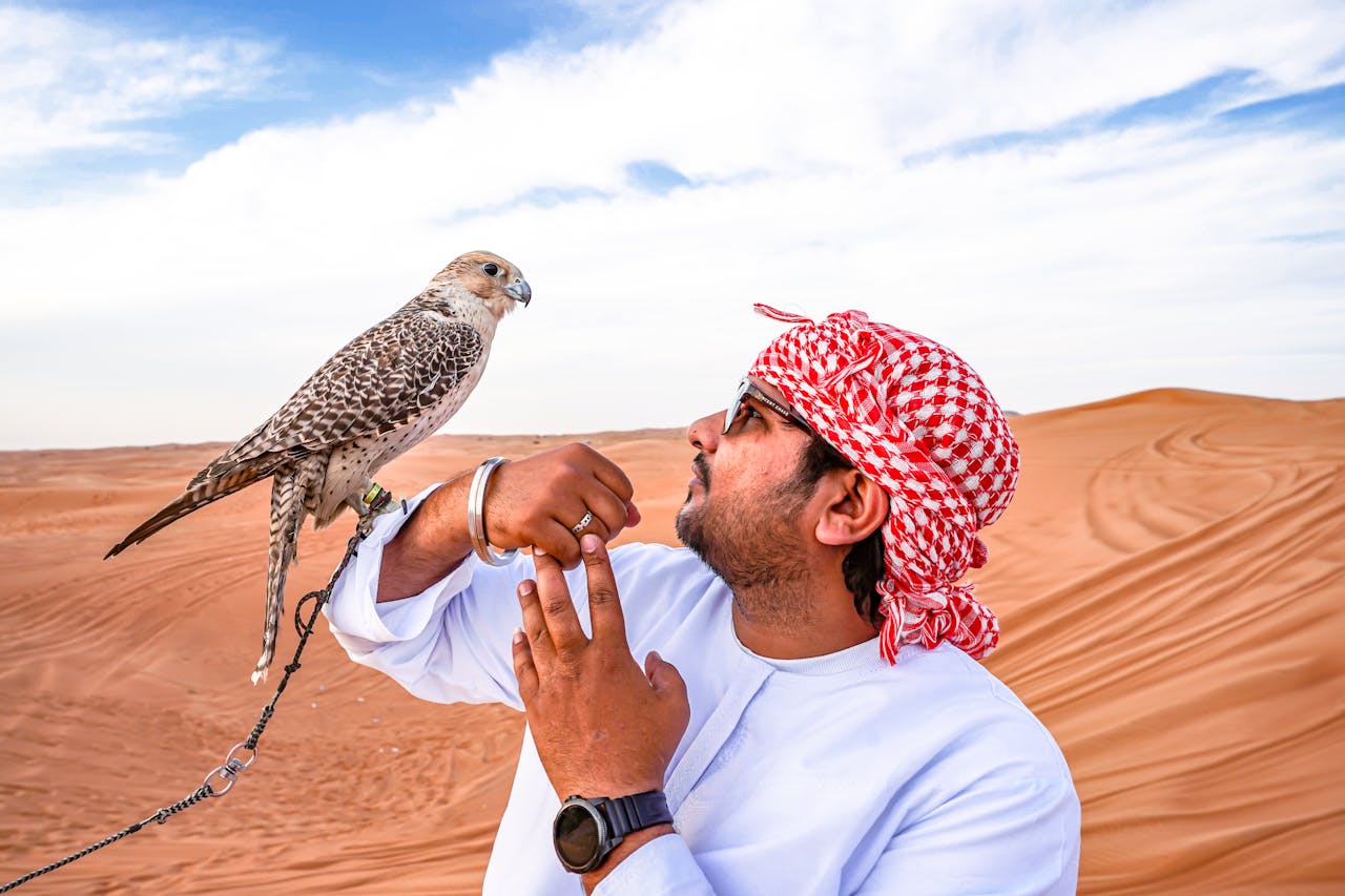 Traditional falconry show as a highlight of Dubai safari activities