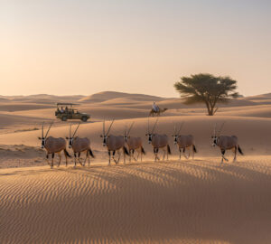 A group of tourists, including a man and a woman, stand on a golden dune at sunset in the Dubai Desert.